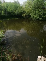 План під забудову