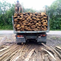 Дрова, горбыль, обрезки, кубики, опилки, стружка - отходы деревообработки