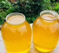 Продам свежий мёд со своей пасеки. Разнотравье