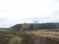 БЕЗ% продам участок 24 сотки с. Вороньків, Бориспільський район, 38 км до Києва