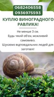 Купуємо равлики