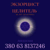 Экзорцист. Целитель. Лицензия. Буча