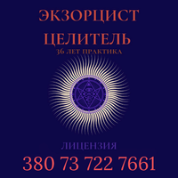 Экзорцист. Целитель. Лицензия. Буча