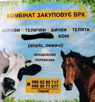 Закуповуємо ВРХ