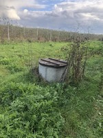 Продаж діючого садового господарства 21 га біля Мостиська, Львівська обл.