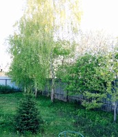 Будинок