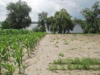 Продам будинок на березі Дніпра власний берег 25 соток землі