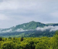 Земельна ділянка біля Східниці 23 сотих