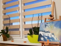 Жалюзи от производителя. Продам