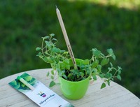 Корпоративні подарунки для IT компаній.