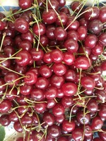 Спелая вишня