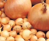 Цибуля для посадки Сеншуй