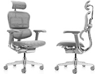 Элитное кресло Ergohuman Luxury 2 Серый от дилера Comfort Seating