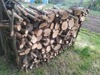 Продаю дрова фруктового дерева (груша), для барбекю, шашликів, тощо.