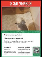 Пропав котик