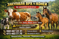 Закупівля врх та коней лежачи та дорізи працюймо 24/7
