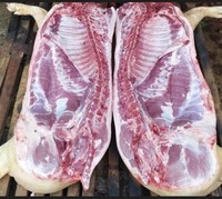 Продам домашню свинину