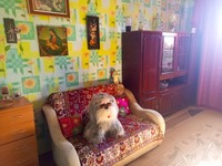 Сдам комнату в частном доме Харьков