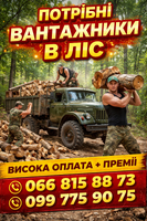 Вакансия грузчика