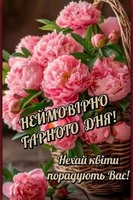 Здається кімната