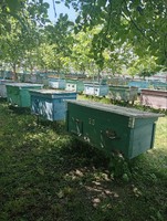 Продам вулики в хорошому стані