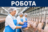 Запрошуємо на роботу