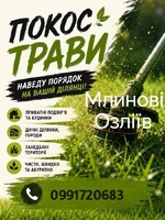 Послуги покос у тай обрізання дерев Млинів озліїв