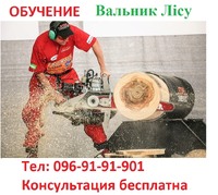 Удостоверение вальщика леса.