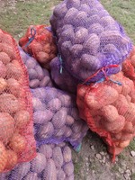 Продам домашню картоплю