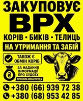Закупівля ВРХ